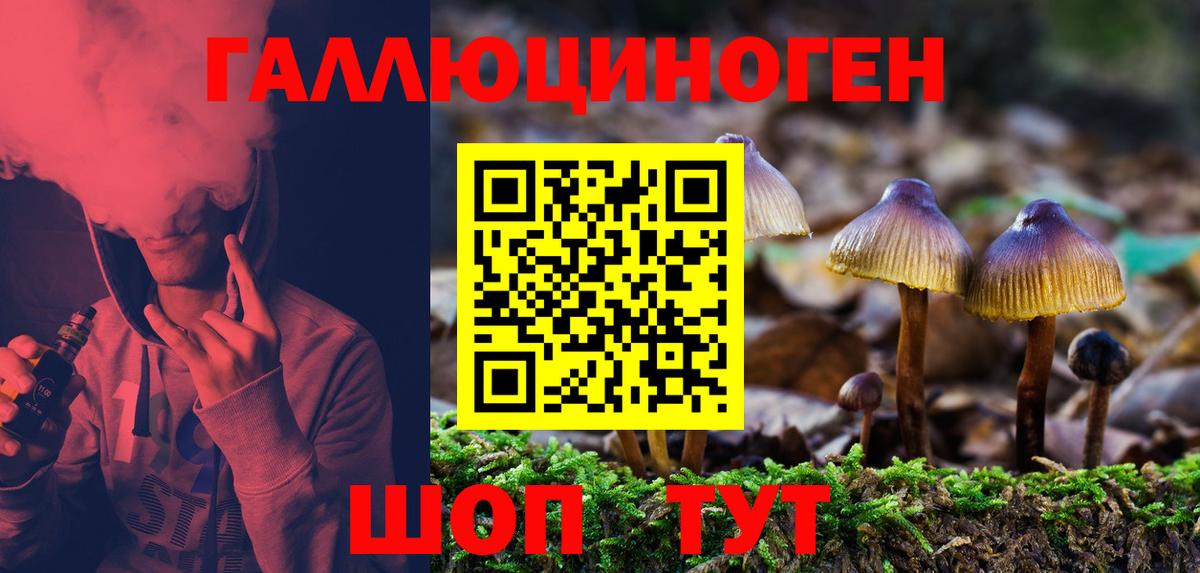 Псилоцибиновые грибы Psilocybe  Вход с VPN  Ачинск 