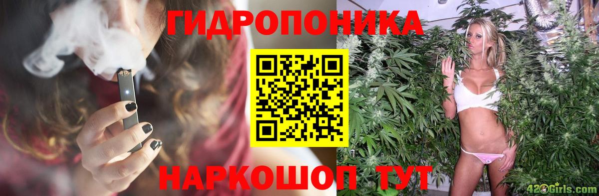 Каннабис Bruce Banner Ачинск